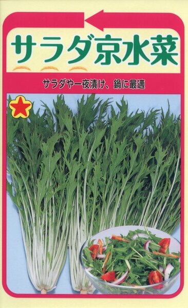 サラダ京水菜