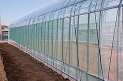 ダイオ虫バリア