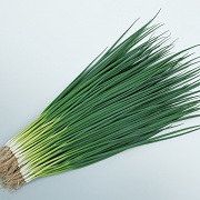 菊千代