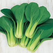 翠勲チンゲン菜