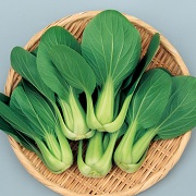頼光チンゲン菜