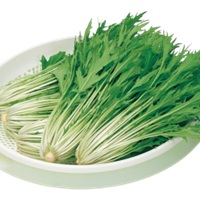 早生水天