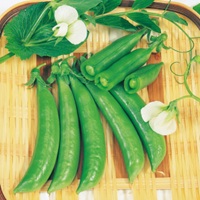 スナック　つるあり