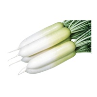 冬美人