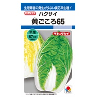 黄ごころ65