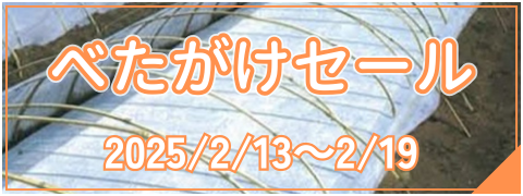 2025-2-13top.png 2025-2-13top.png