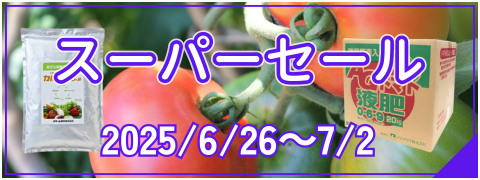 スーパーセール