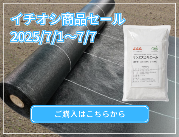イチオシ商品セール