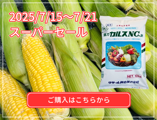 スーパーセール