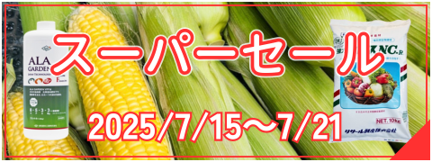 スーパーセール