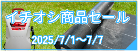 イチオシ商品セール
