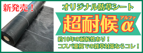 超耐候a