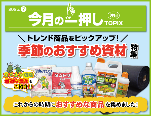 今月の一押し