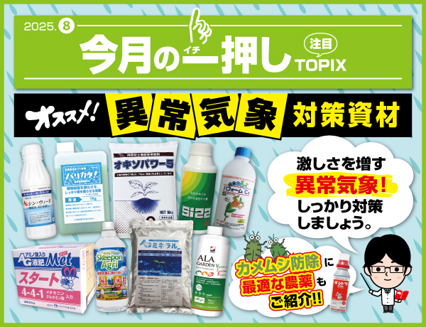 今月の一押し