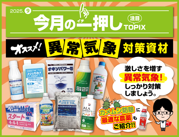 今月の一押し
