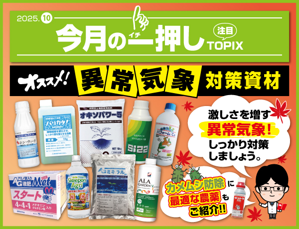 今月の一押し