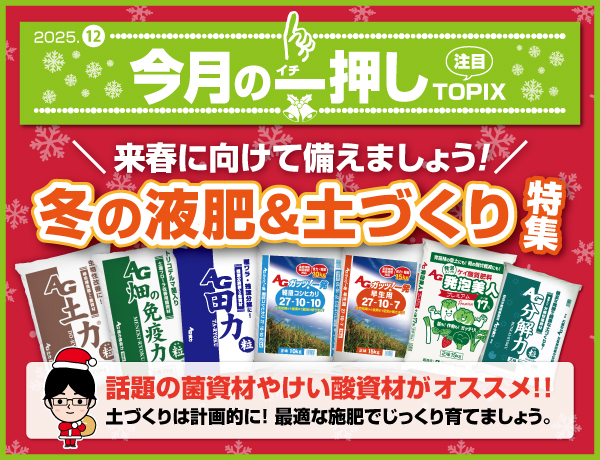 今月の一押し