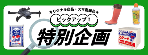 特別企画